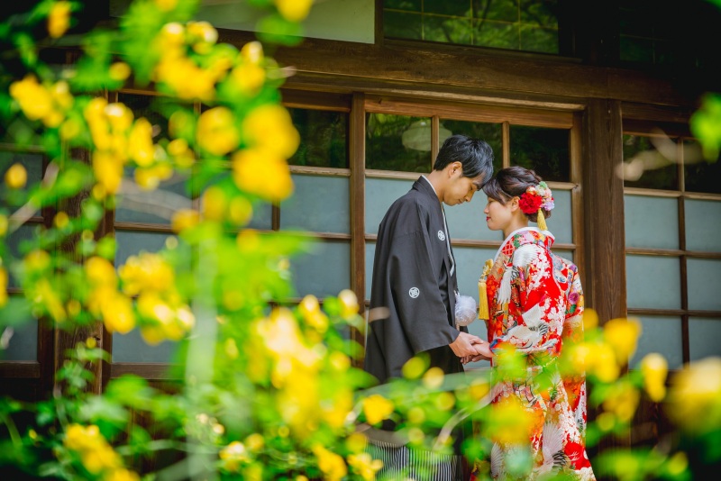 ❁春のお花たち❁