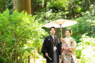 8月は”深緑”の季節♪夏の暑さ対策のご紹介