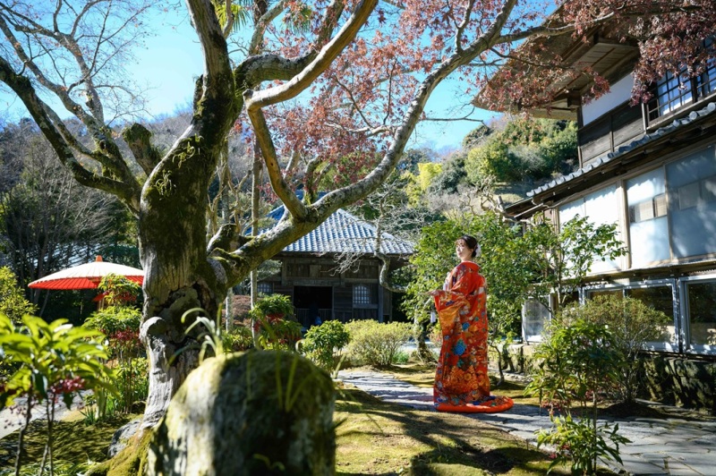 【12月～1月の限定】2大特典付き！早割キャンペーン