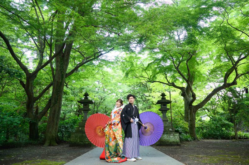 【6月】紫陽花＆新緑シーズン！