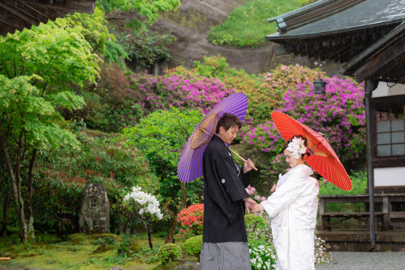 雨の日のお写真