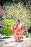 春の撮影に関して