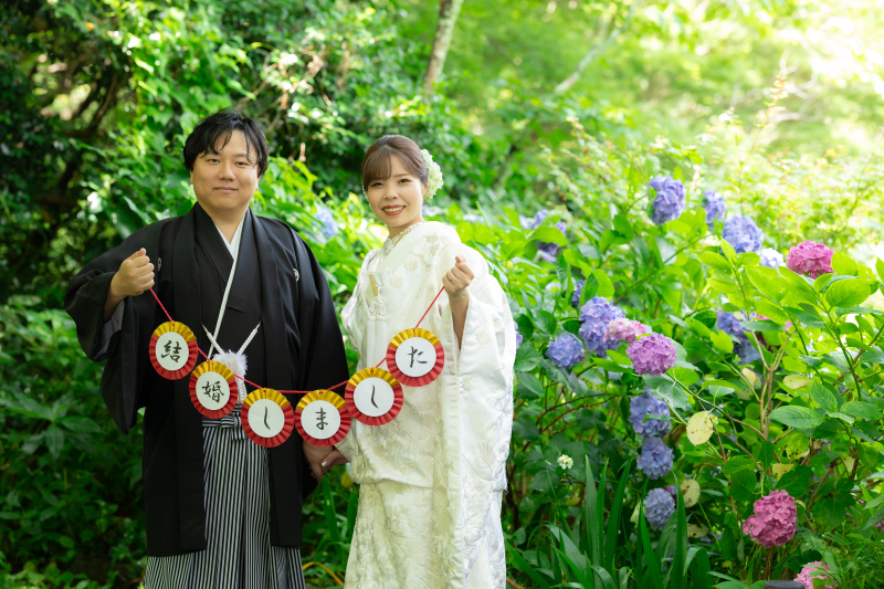 【紫陽花】今年の紫陽花の写真をご紹介！