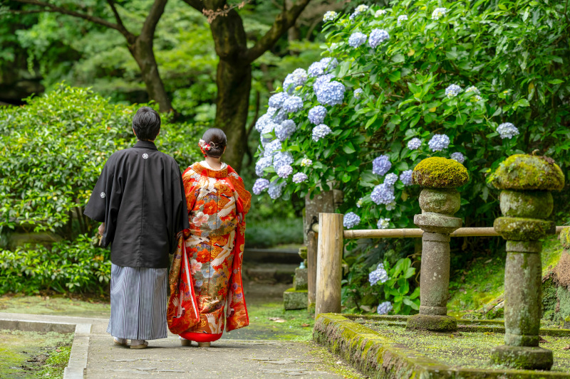 鎌倉店の紫陽花