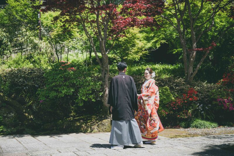 【撮るなら今！】4月-5月の新緑キャンペーン