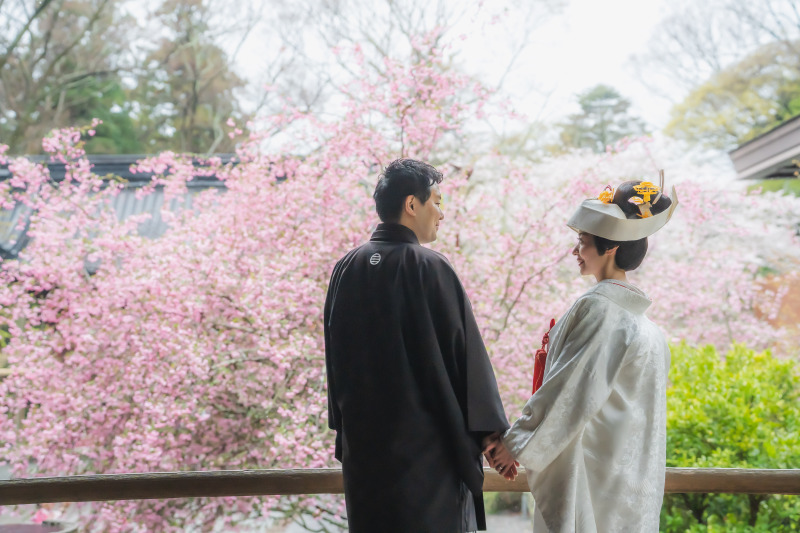 【2026年】桜と海棠の開花まとめ❀