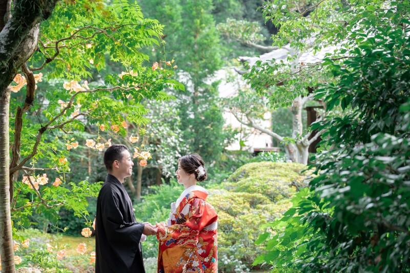 【寺院】夏の写真をご紹介!