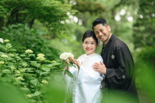 【紫陽花】妙本寺の紫陽花が咲いてきました!