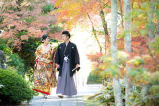 ≪11月の空き状況≫　まだ間に合う＊紅葉直前キャンペーン