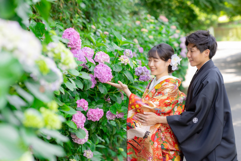 鎌倉店の紫陽花