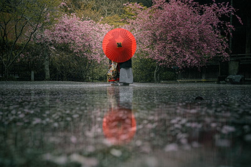 雨の日の撮影について