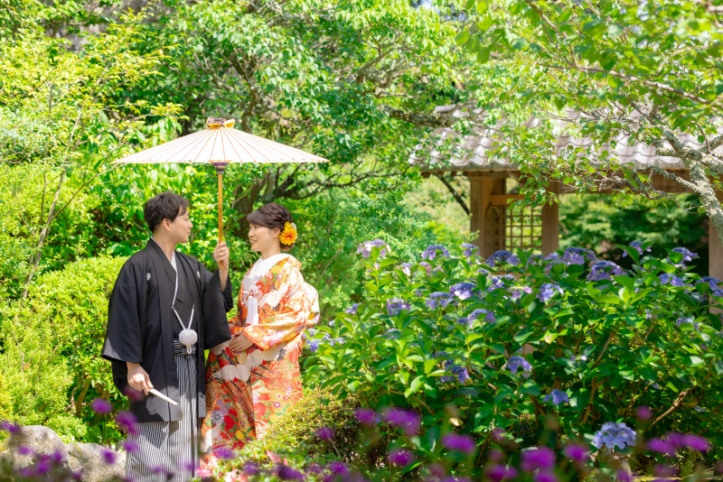 鎌倉店の紫陽花