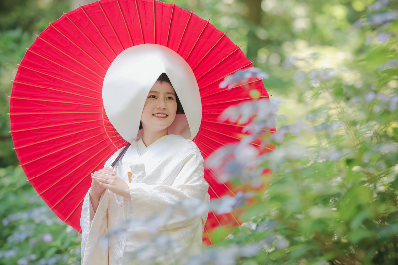 紫陽花の時期の撮影