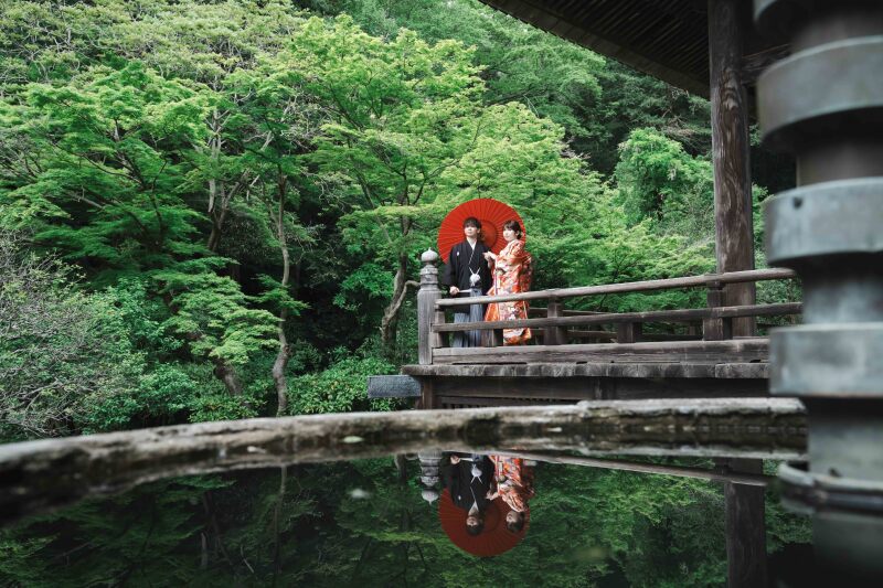 【撮るなら今！】4月-5月の新緑キャンペーン