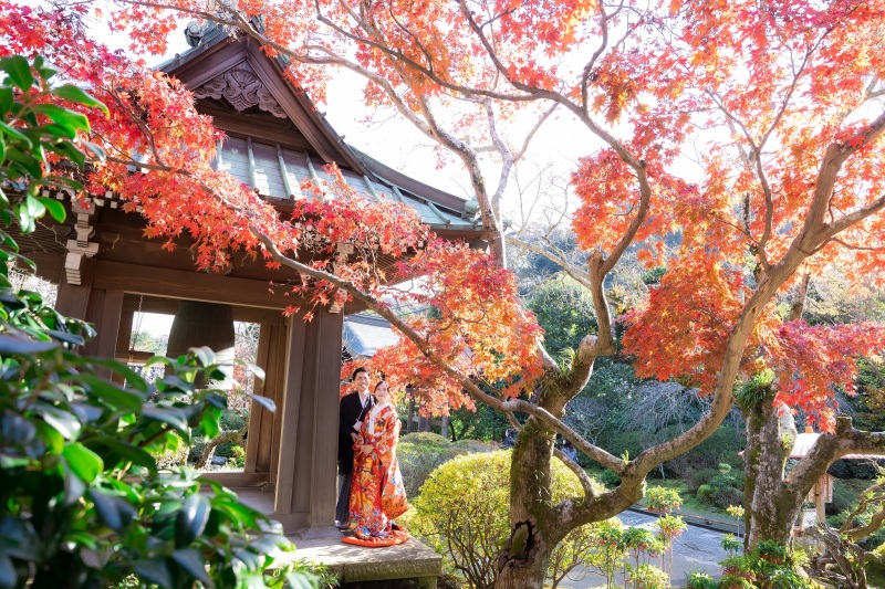 2022年　紅葉速報③