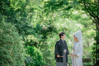 色打掛新作　入荷しました