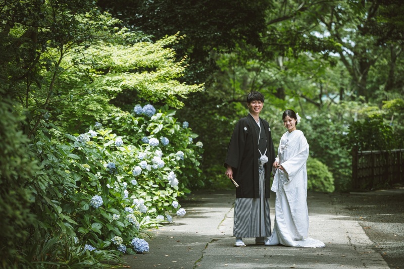【6月】紫陽花＆新緑シーズン！