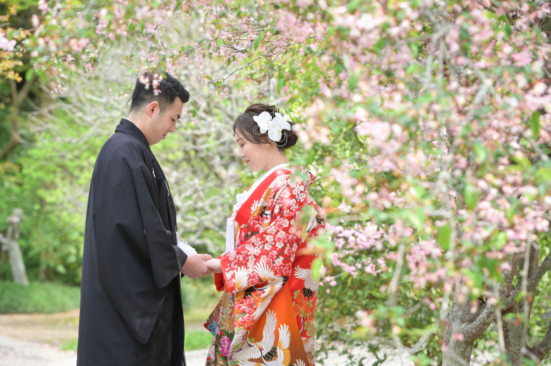 【妙本寺】４月は桜・海堂・新緑のベストシーズン！！