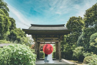 【残り僅か!】8月撮影空き状況のご案内