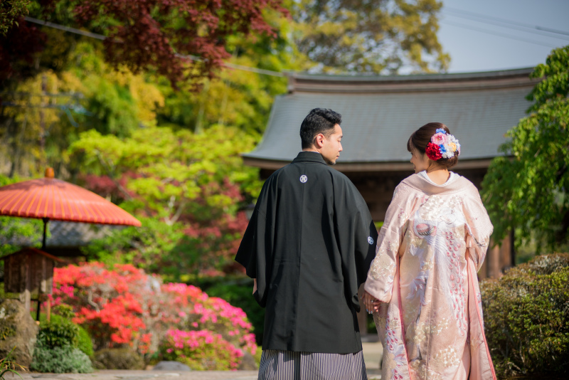 1年で一番きれいな新緑の季節について