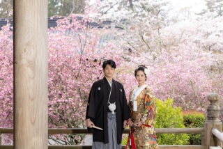 桜が満開となりました❀