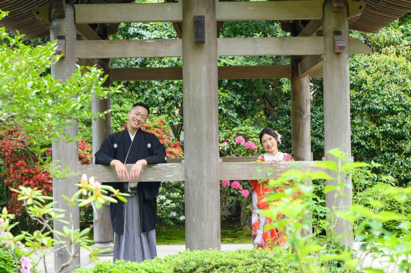 【撮るなら今！】4月-5月の新緑キャンペーン