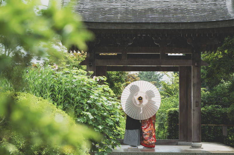 雨の日撮影☂