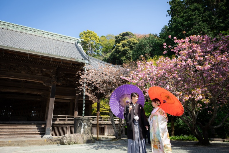 【妙本寺】4月は桜・海堂・新緑のベストシーズン!!