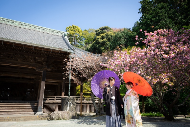 【妙本寺】４月は桜・海堂・新緑のベストシーズン！！