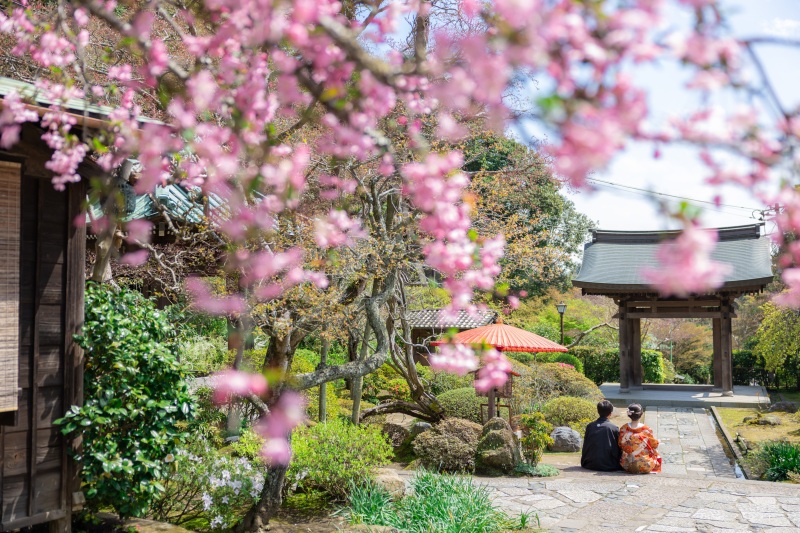 《残り僅か!✨》4月の撮影がまだ間に合う!!