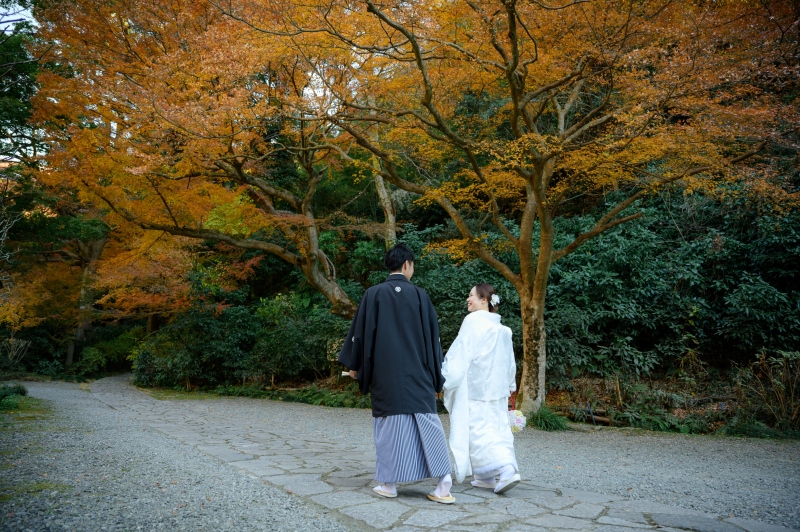 【紅葉】12月下旬も紅葉シーズン！