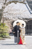 【桜・海棠】2025年開花情報❁