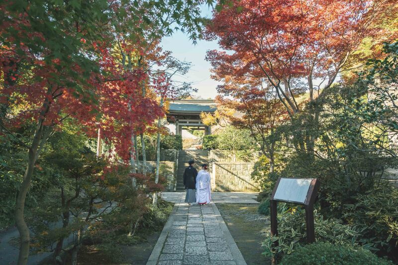 【11月】お客様フォトをご紹介!