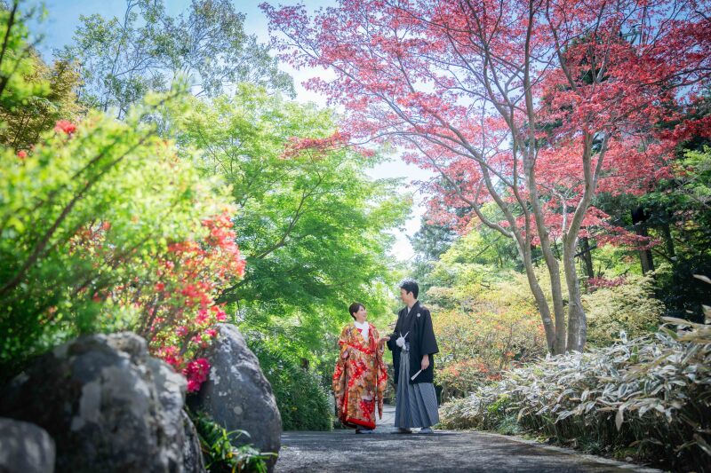 【鎌倉の花寺】4月は海蔵寺がオススメ！★