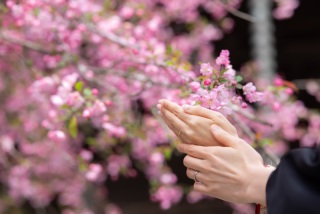 【よくあるお問合せ】キャンセルポリシーにつきまして