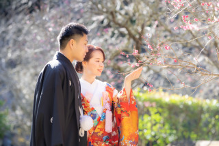 1月も梅が咲きます！！