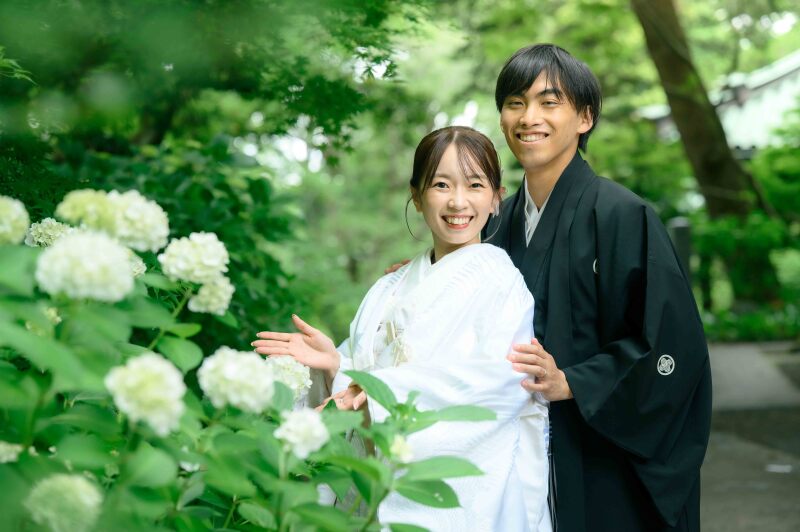【最新】妙本寺の紫陽花の開花状況!