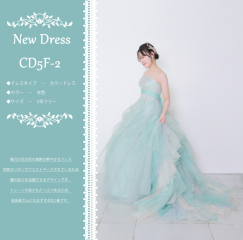 新しいドレス入荷しました