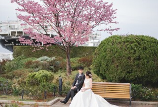 ３月４月限定プランのご案内