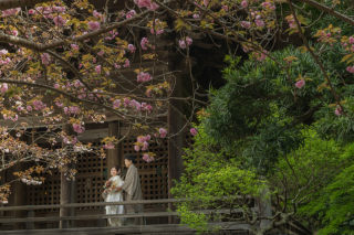 鎌倉撮影モニターさん募集いたします!