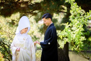 最新！プラン情報