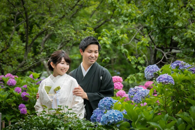 桜の次はあじさいが咲きます！！
