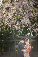 桜シーズンの空き状況について