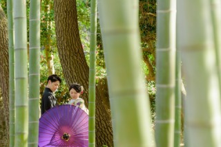 プラン紹介【百合】