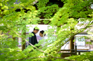 ロケーション撮影【新緑】