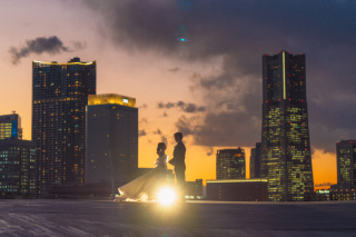 だんだんと春模様です