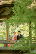 桜シーズンに空きが出ました！