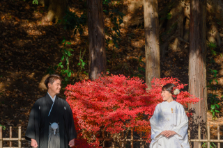 紅葉撮影のご案内