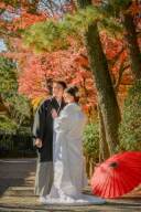 お盆に入りましたね！