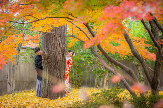 紅葉の撮影地Ⅲ【茶室と庭】